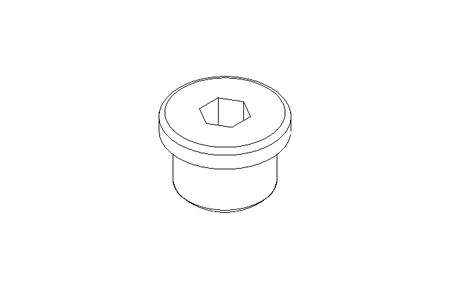 Verschlussschraube M18x1,5 A2 DIN 908