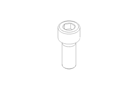 SCREW       M10X 25 A2 DIN 912