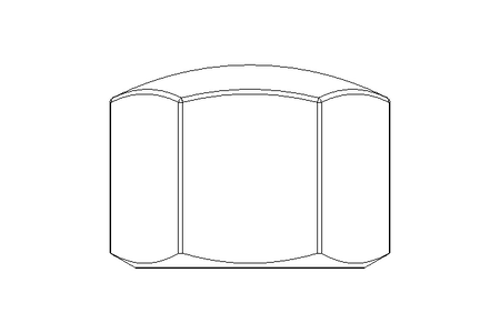 Tuerca hexagonal ciega M16 A2 DIN917