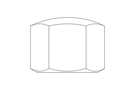 Hexagon cap nut M14x1.5 A4 DIN917