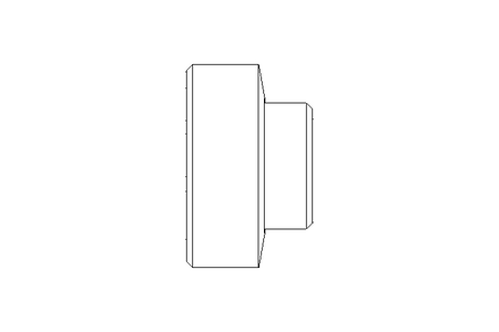 Raccord fileté SC DN15 1.4404 DIN11851