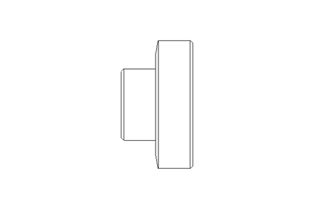 Raccord fileté SC DN25 1.4404 DIN11851