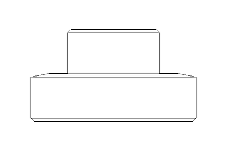 Raccord fileté SC DN25 1.4404 DIN11851