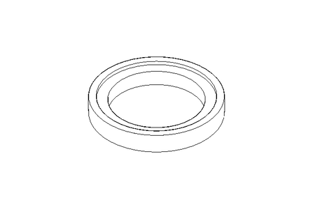 GASKET PROLINE DN40