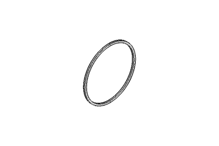 SEALING RING (0900077994) 改：