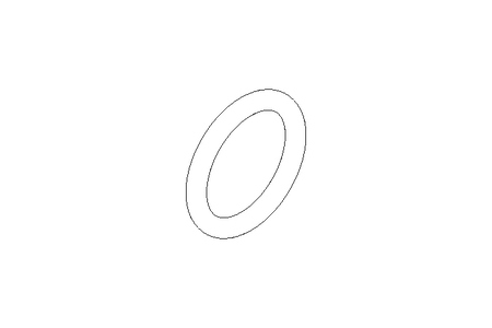 O-RING