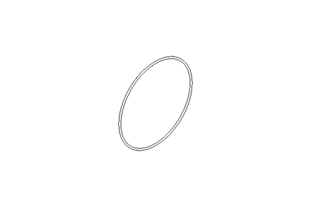 O-Ring 290x5