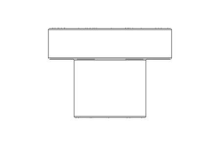 Tuerca con rosca TR16x4 PA