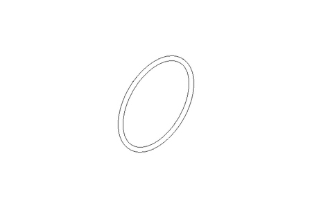 Guarnizione O-ring 113,67x5,33