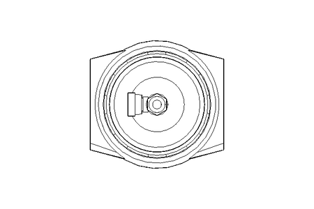 Filter AA 0,01 µM