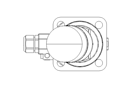 Niveausonde L226