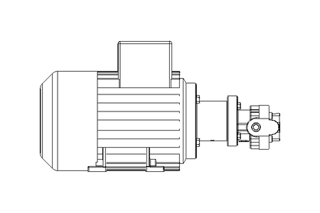 Motorzahnradpumpe