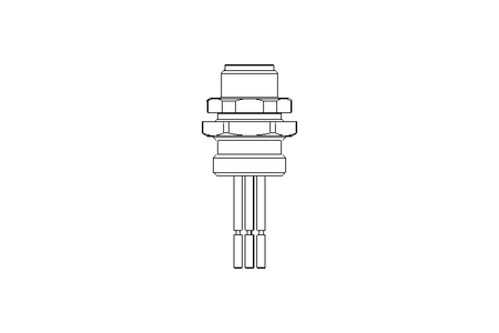 Stecker 5-polig 0,5 m