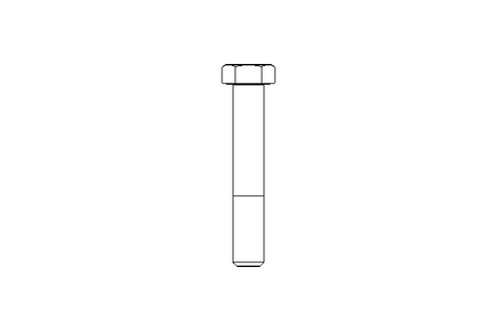 Tornillo cab. hexag. M20x120 A2 70