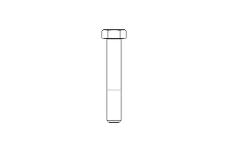 Tornillo cab. hexag. M20x120 A2 70