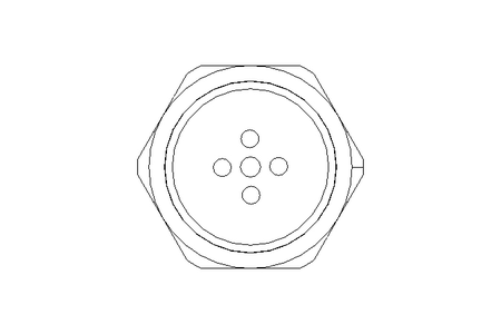 Stecker 5-polig 0,5 m