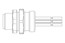 Stecker 5-polig 0,5 m