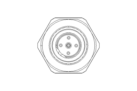 Stecker 5-polig 0,5 m