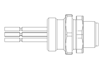 Stecker 5-polig 0,5 m