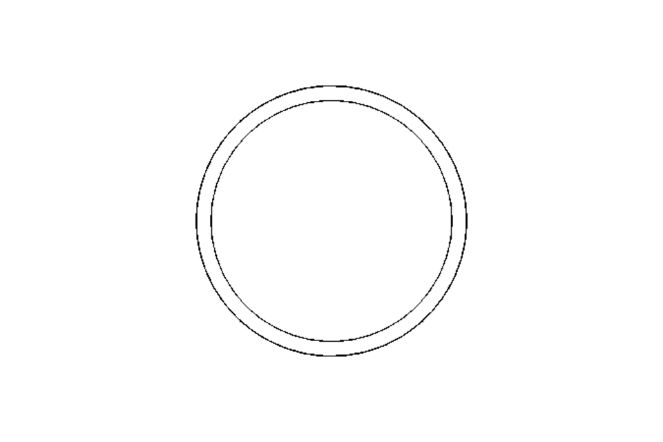 Sealing ring G DN80 FPM DIN11851