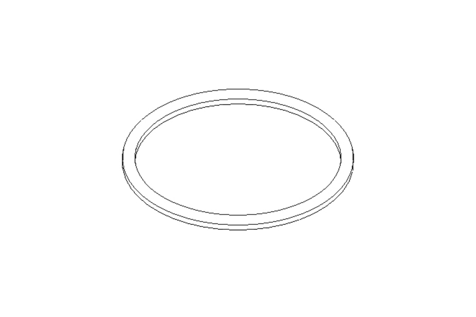 Sealing ring G DN80 FPM DIN11851