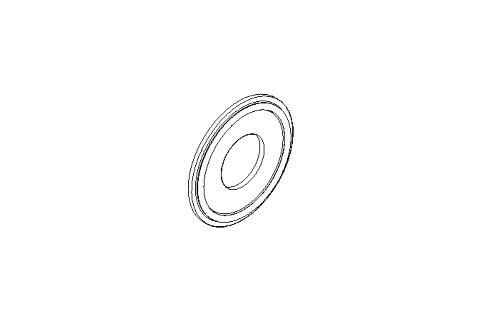 GASKET RING           1