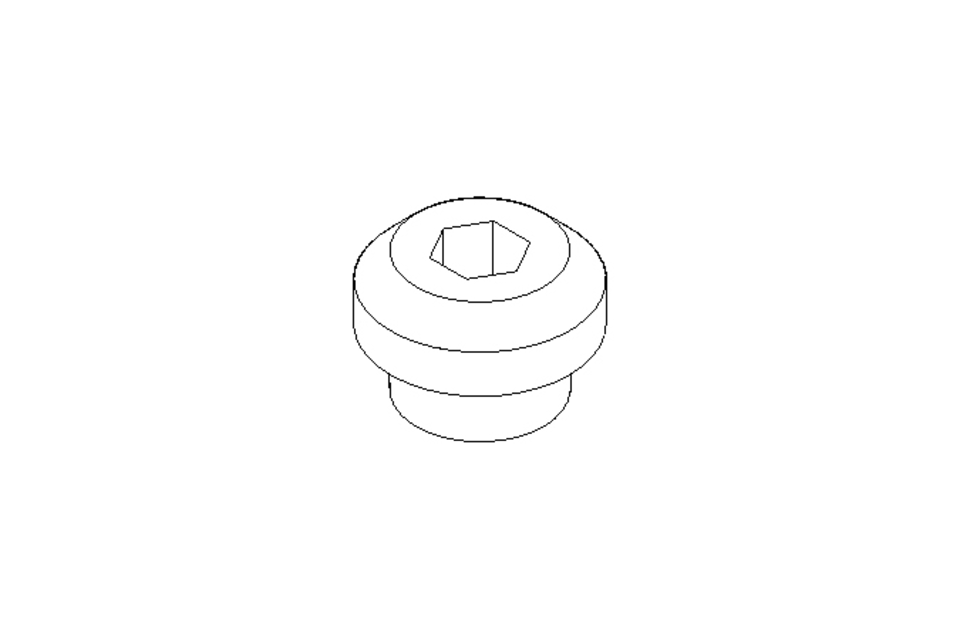 Screw plug M10x1