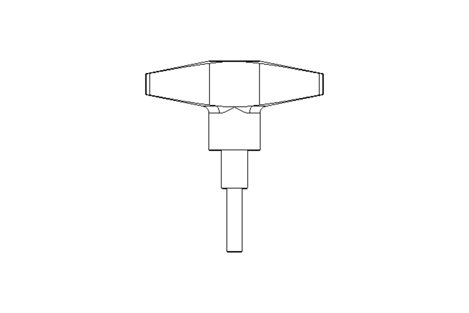 T-HANDLE     M 6X25         A2