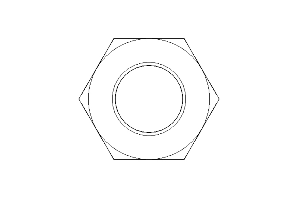 Hexagon nut M10x1 A2 DIN439