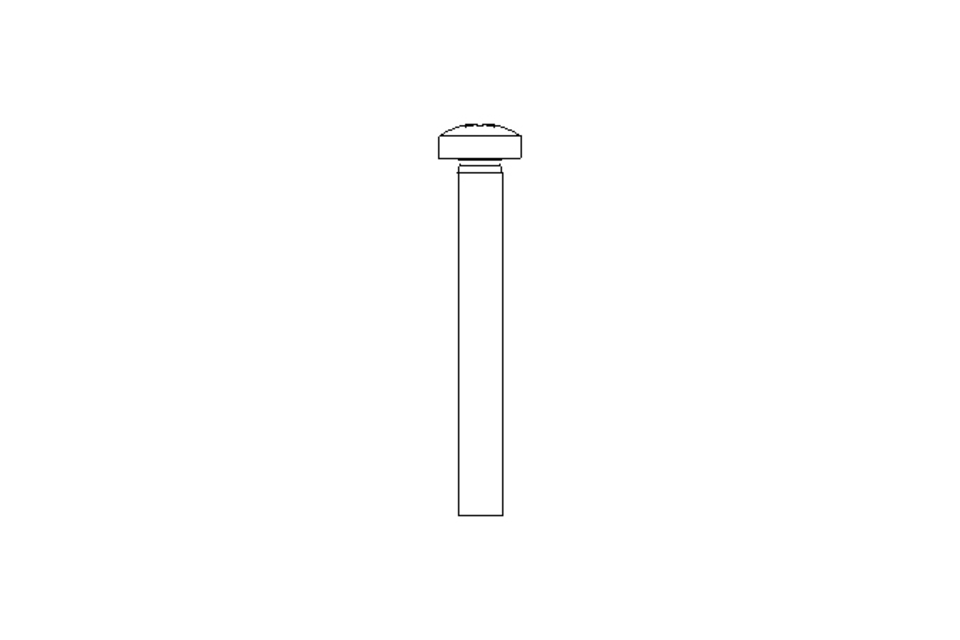 Vite a testa bombata M3x25 A2 ISO7045