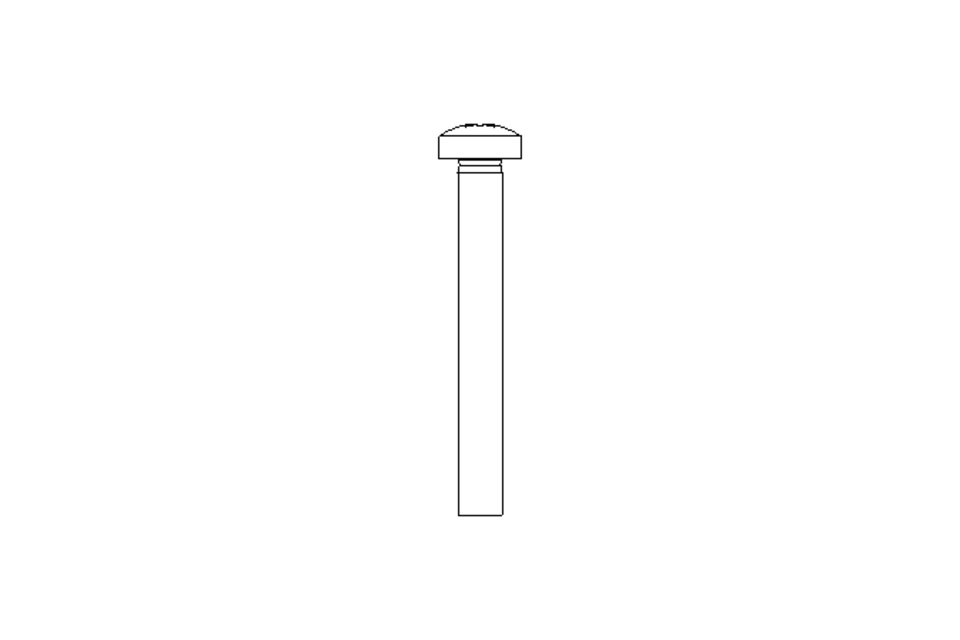 Vite a testa bombata M3x25 A2 ISO7045