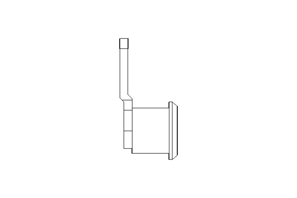 Drehriegel mit Zunge H20 Niro