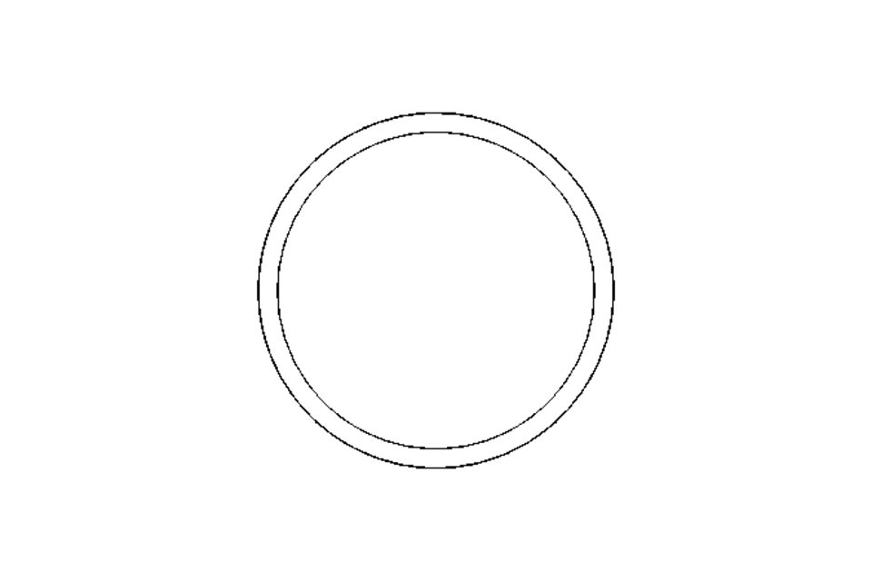 SEALING RING   DN80