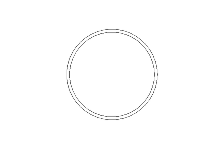 Sealing ring S=16 D=500 MVQ